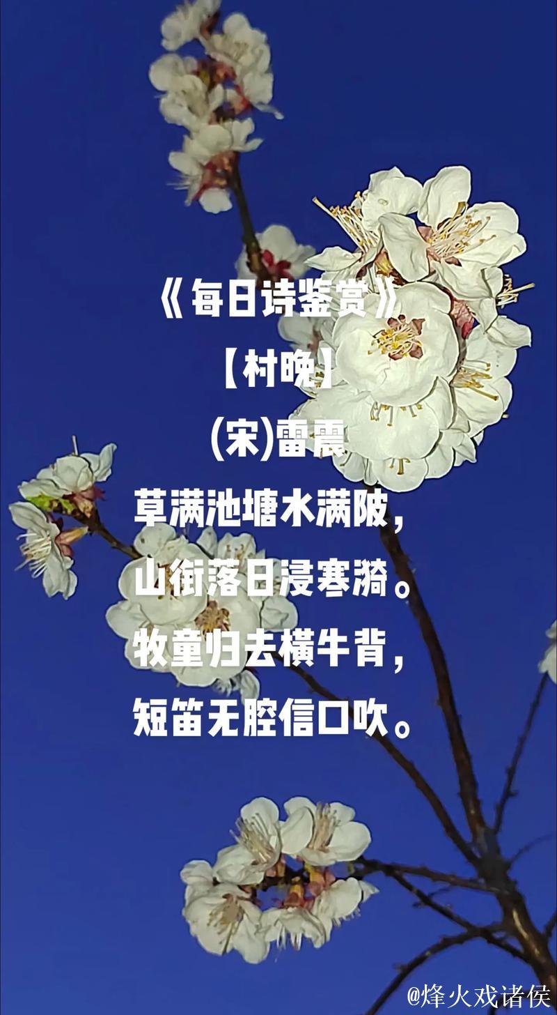河南台前:六十天“村晚”精彩不断 河南台前:六十天“村晚”精彩不断